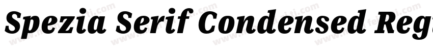 Spezia Serif Condensed Regular D字体转换